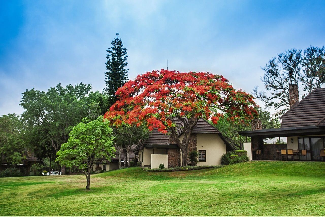 Sabi River Sun Resort Хейзивью Экстерьер фото